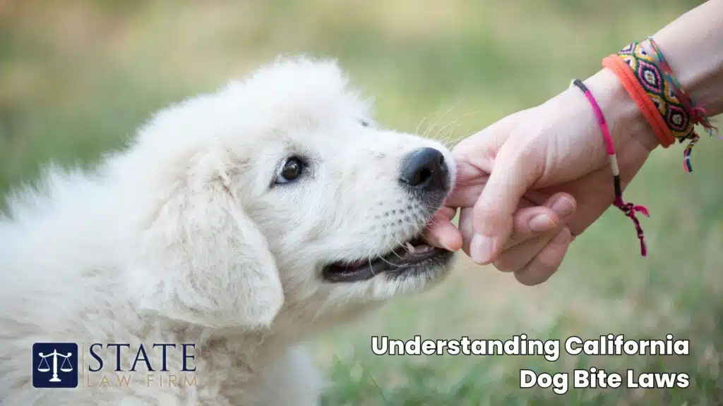 Dog Bite Injury Lawyers – Santa Barbara, CA 3 Understanding California Dog Bite Laws