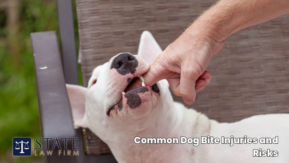Huntington Beach Dog Bite Injury Lawyers 2 Common Dog Bite Injuries and Risks