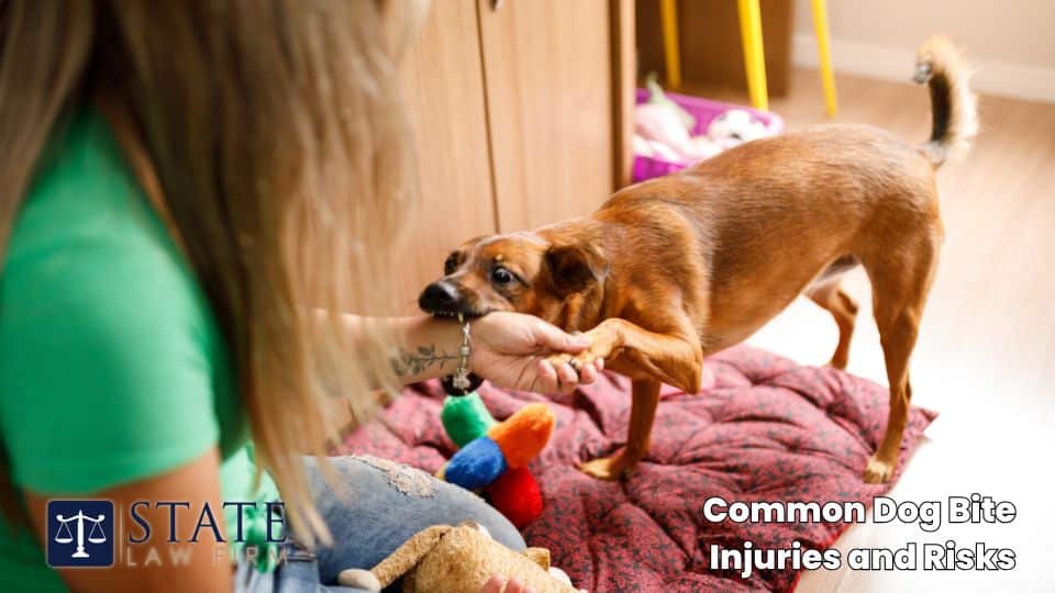 Common Dog Bite Injuries and Risks