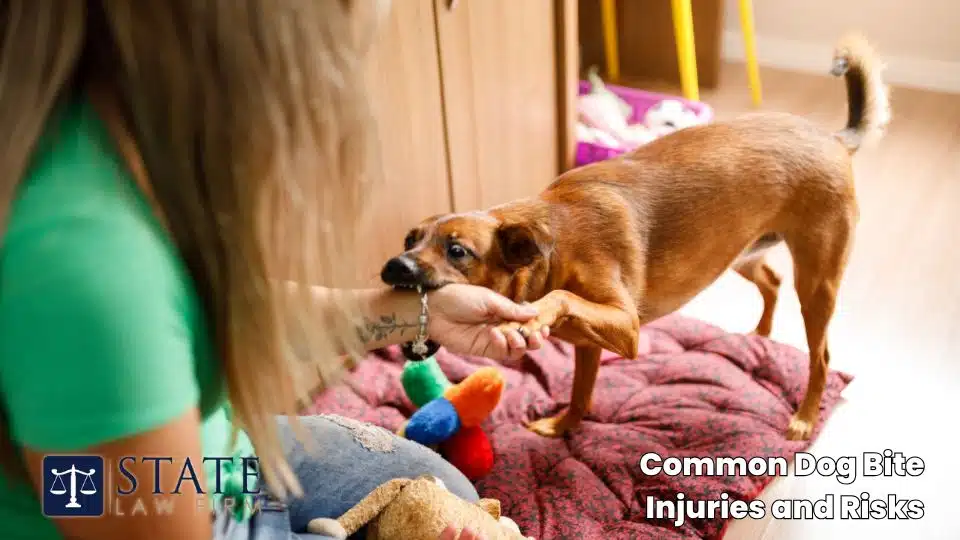 Dog Bite Injury Lawyers – Monterey, CA 3 Common Dog Bite Injuries and Risks