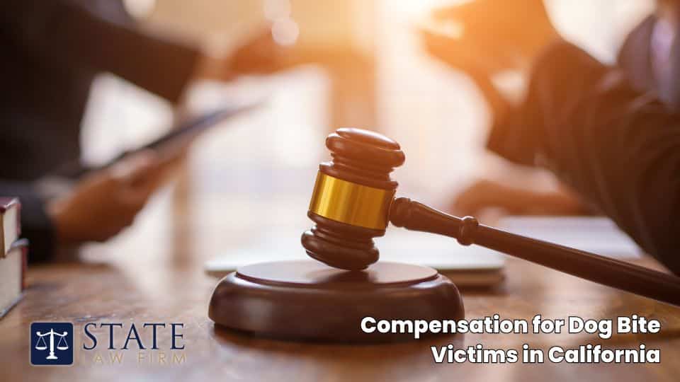 Compensation for Dog Bite Victims in California 1