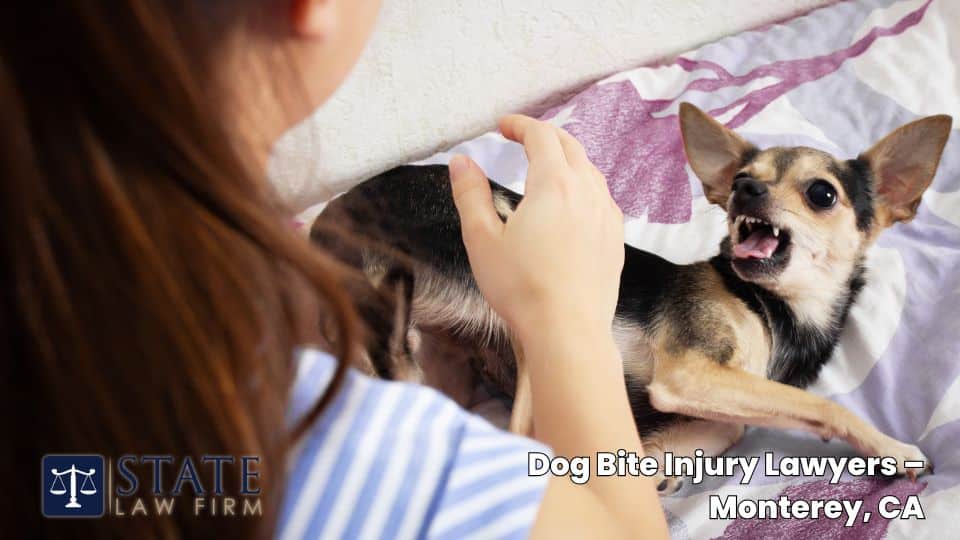 Dog Bite Injury Lawyers – Monterey, CA