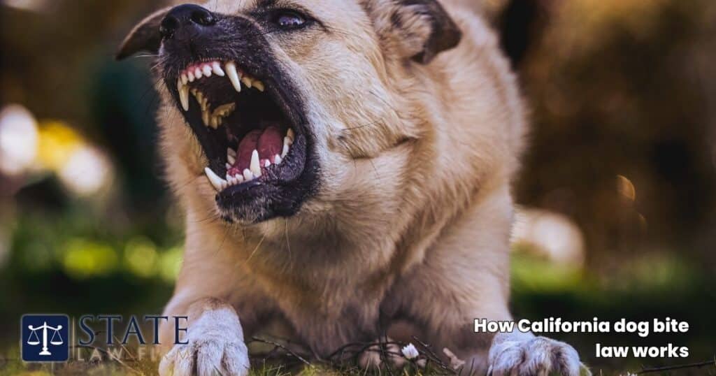 How California dog bite law works