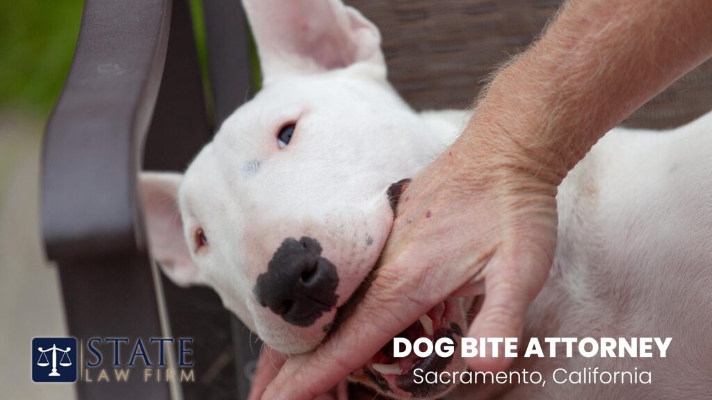 Abogado de mordeduras de perro en Sacramento 1 Abogado de mordeduras de perro en Sacramento