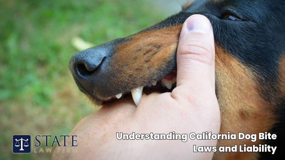 Understanding California Dog Bite Laws and Liability