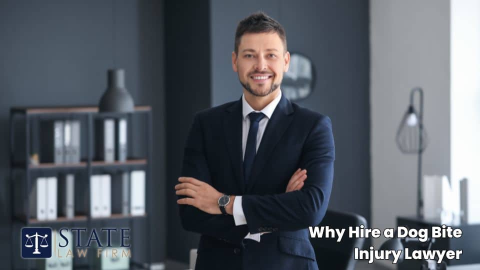 Why Hire a Dog Bite Injury Lawyer