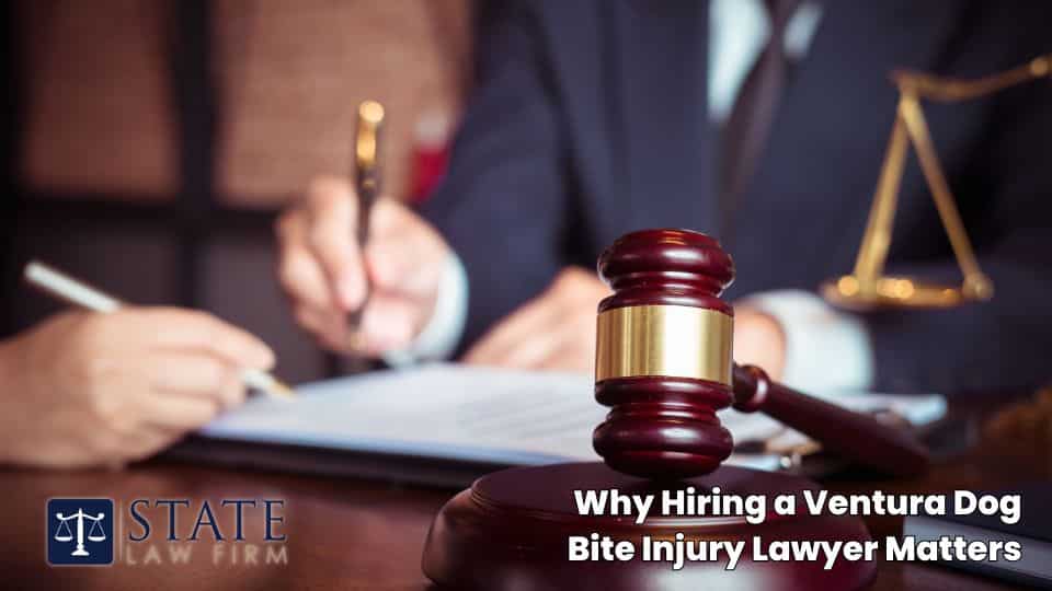 Why Hiring a Ventura Dog Bite Injury Lawyer Matters