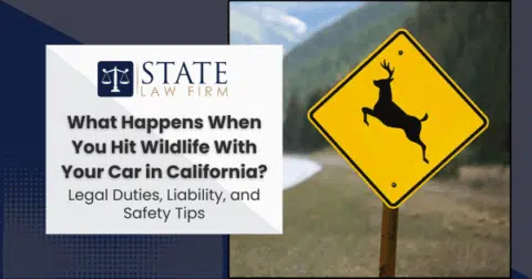 a yellow sign that says, what happens when you hit wildlife with your car in