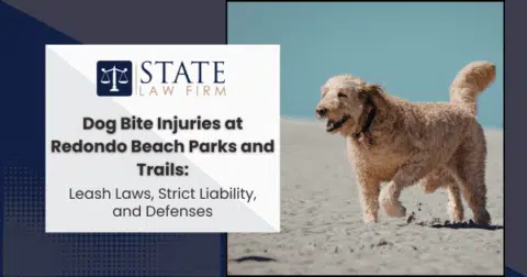 Brown dog standing on a sandy beach