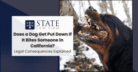 Cartoon dog with text 'state law firm'