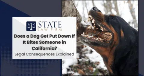 Cartoon dog with text 'state law firm'
