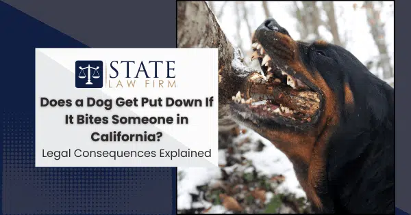 Cartoon dog with text 'state law firm'