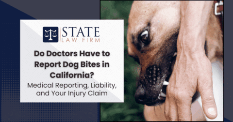 Persona abrazando a un perro al aire libre