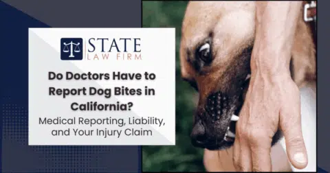 Person cuddling a dog outdoors