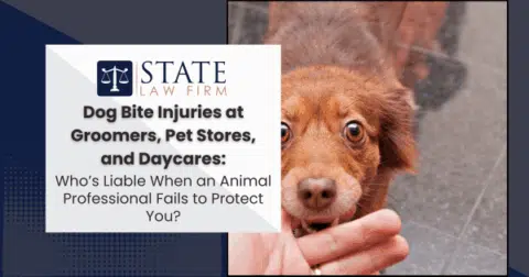 Person holding a dog in their hand