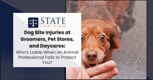 Person holding a dog in their hand