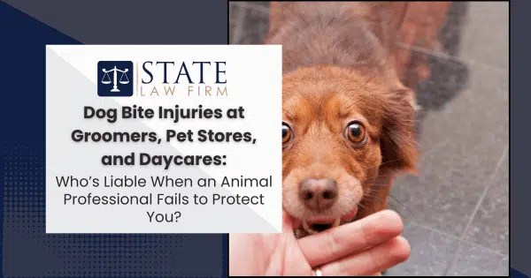 Person holding a dog in their hand